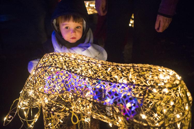 The Arboretum's Annual Luminaria Event News Photos