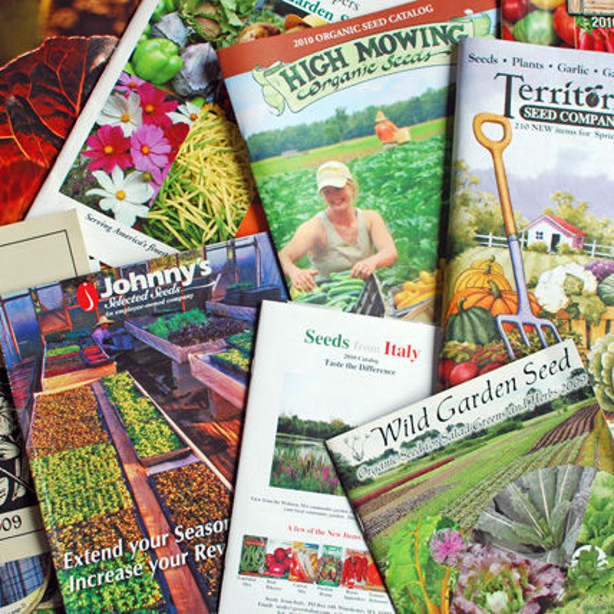 What S In A Seed Catalog Ideas Information Inspiration Home