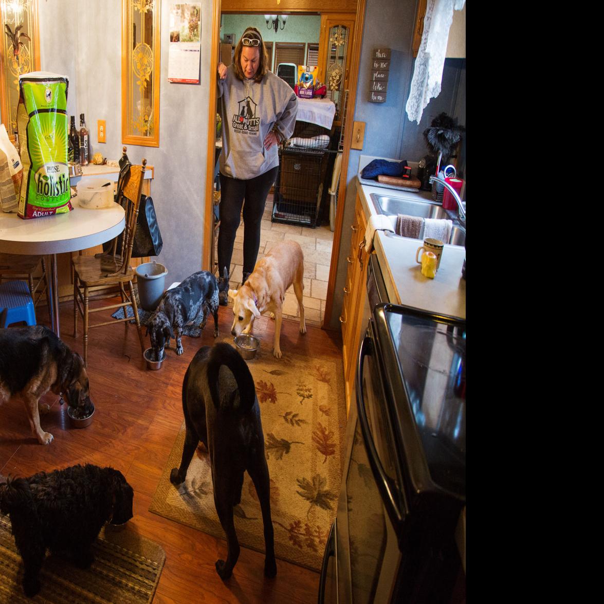 Yakima Woman Others Want More Legislation Over Pet Rescue