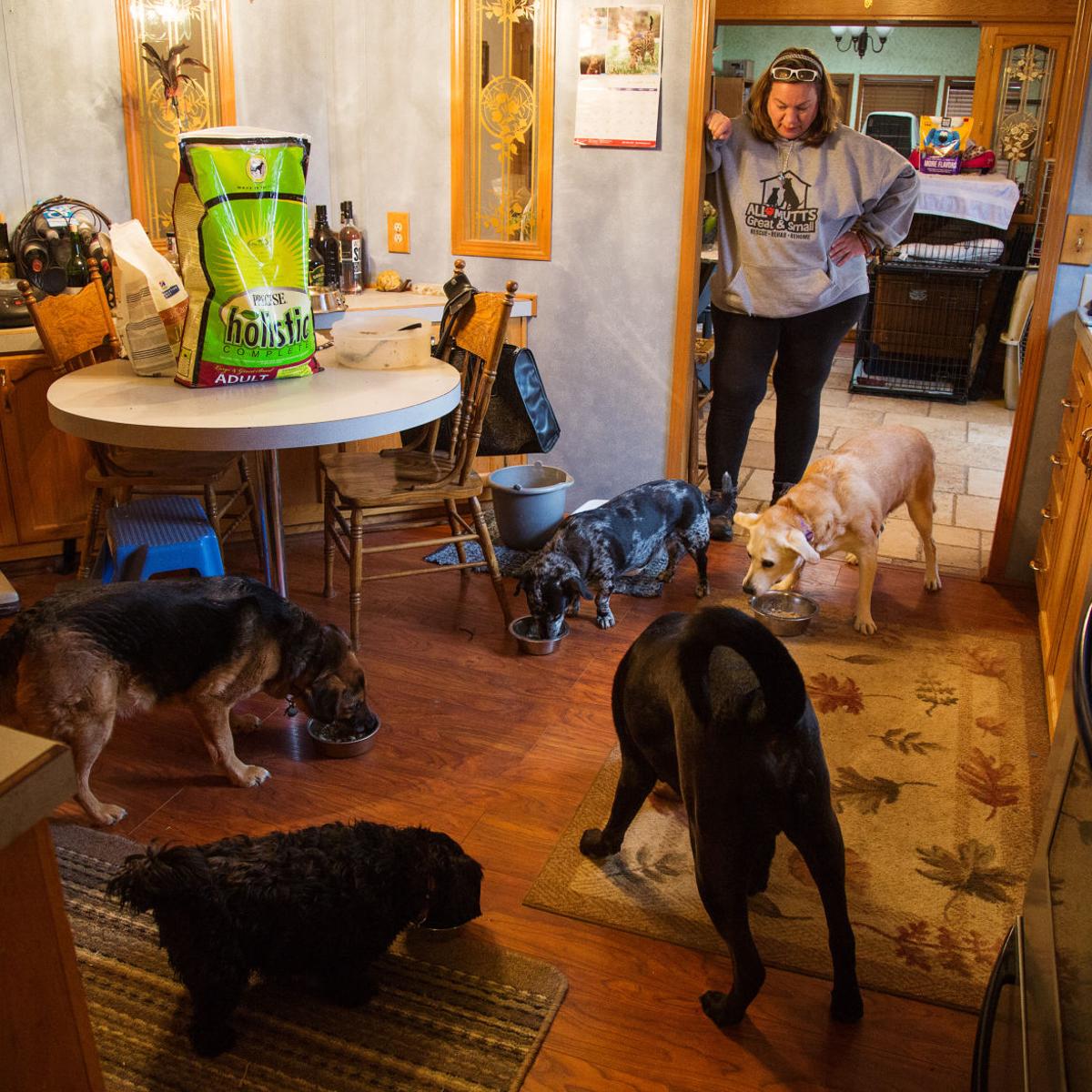 Yakima Woman Others Want More Legislation Over Pet Rescue