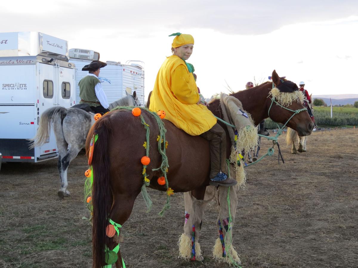 Annual Winery Ride in Zillah a hit with humans and horses Local