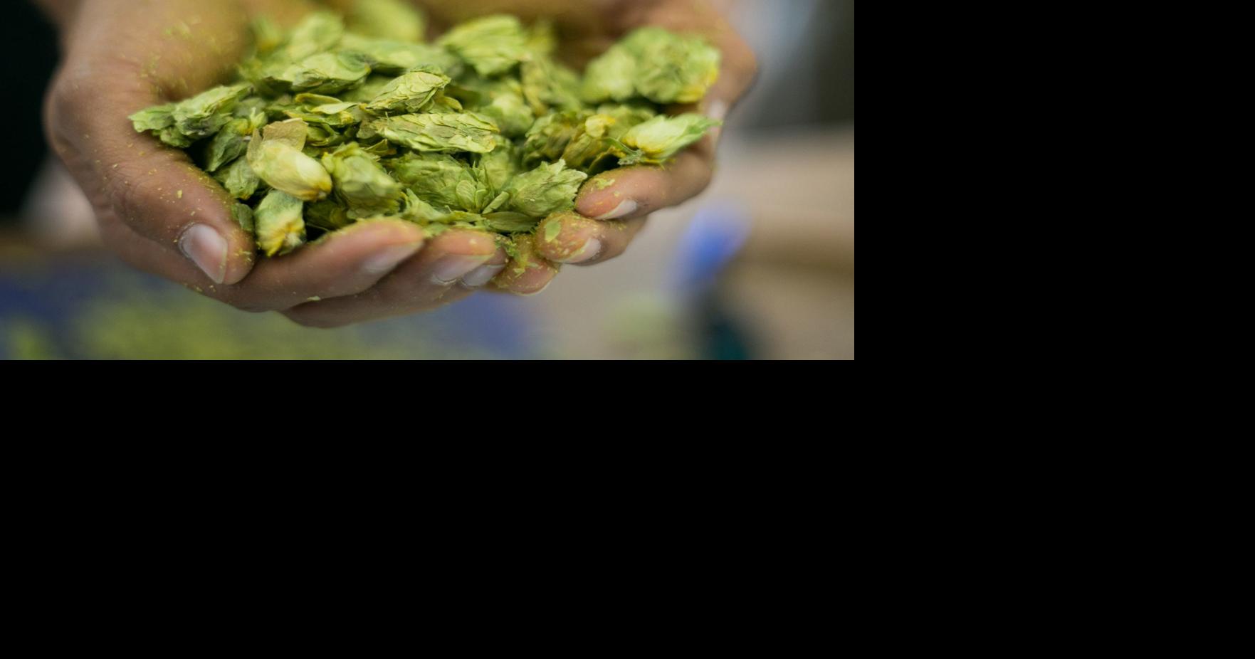 The Current New pottery painting business and hops on television