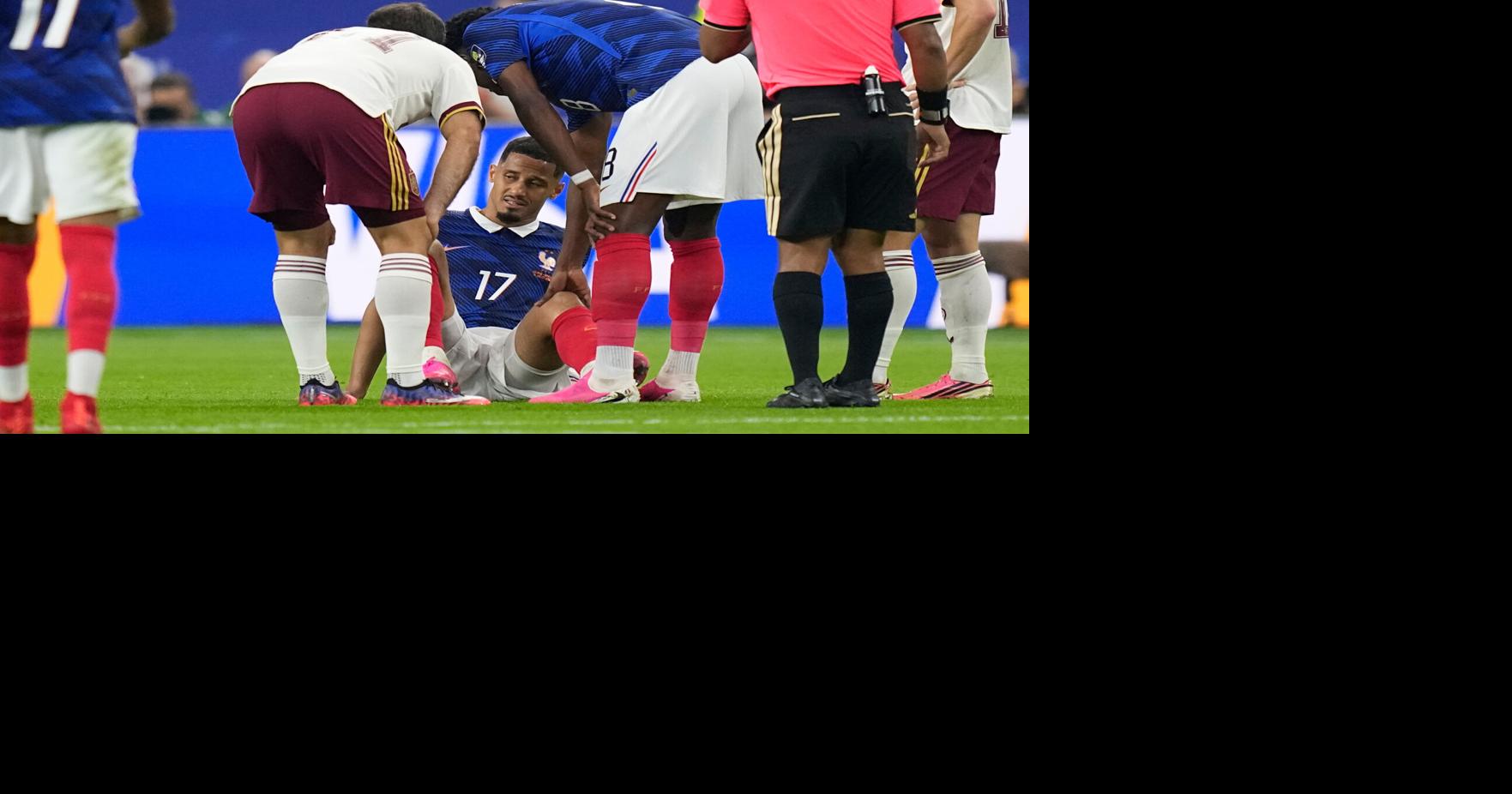 Spain France WCup Soccer