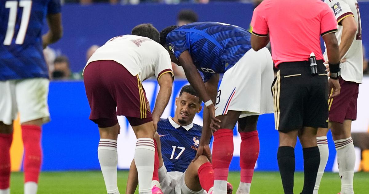 Spain France WCup Soccer