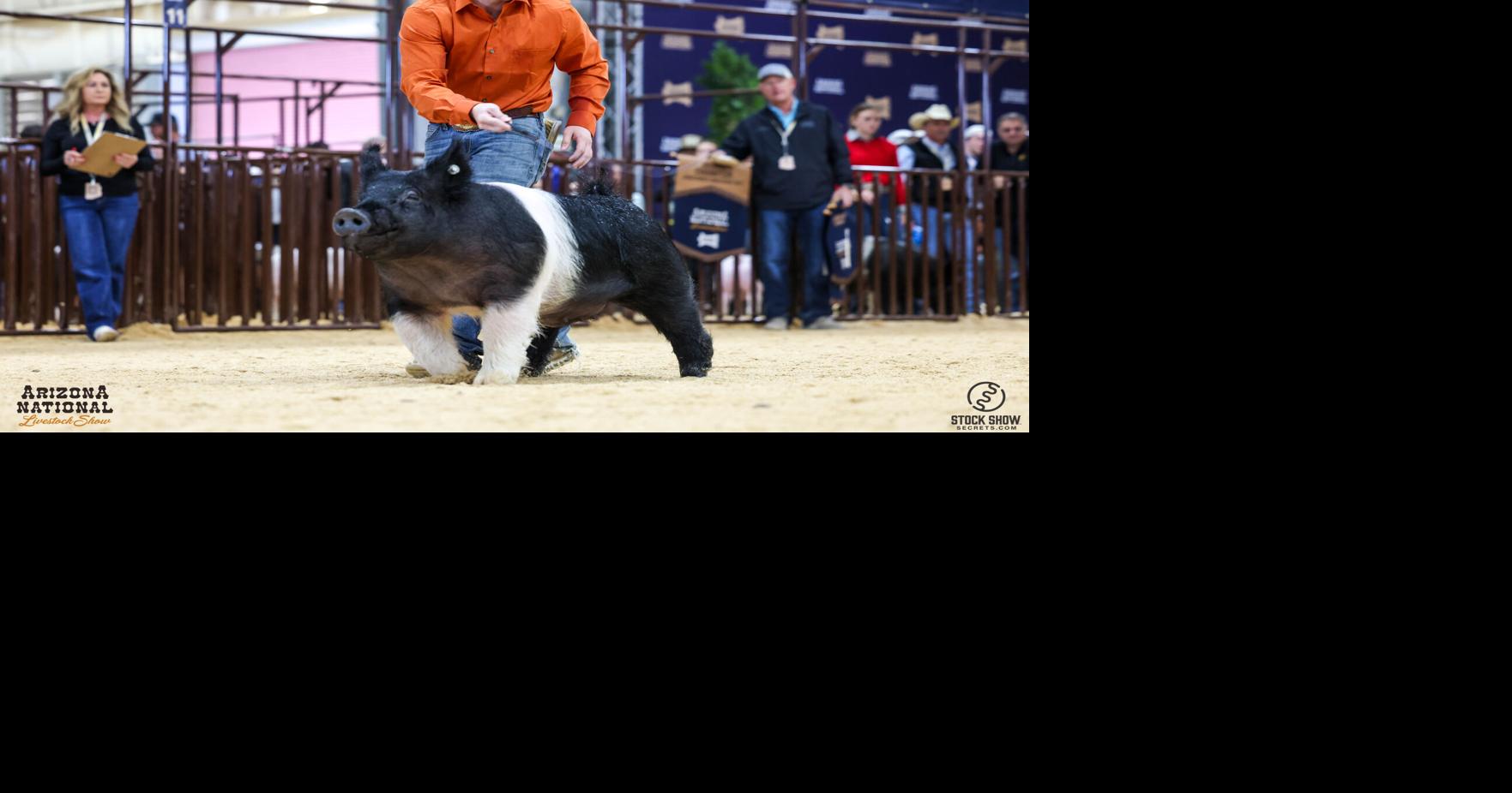 Sunnyside teen wins $31,000 at national Arizona livestock show