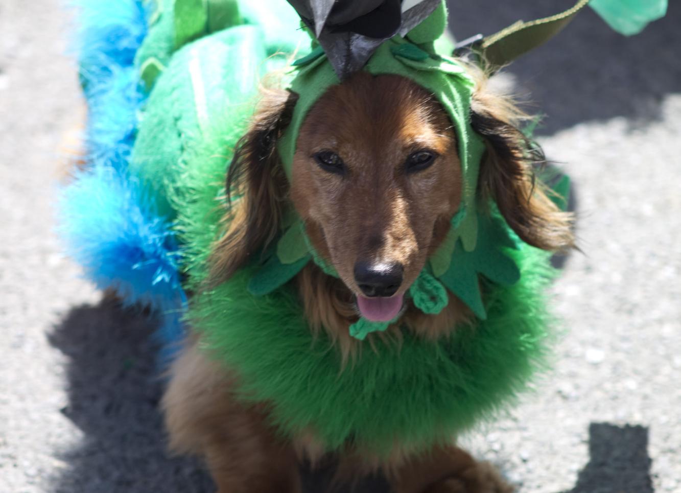 REDISCOVER YAKIMA VALLEY SUMMER CALENDAR Calendar