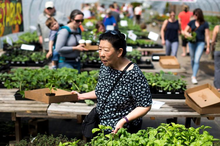 Popular Yakima plant sales switch gears this year because of