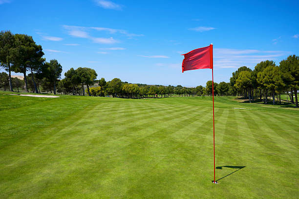 ●HOLE IN ONE & GOODFELLAZ Real Tour Performance: Hitting a Perfect Shot on a Par 3 Course