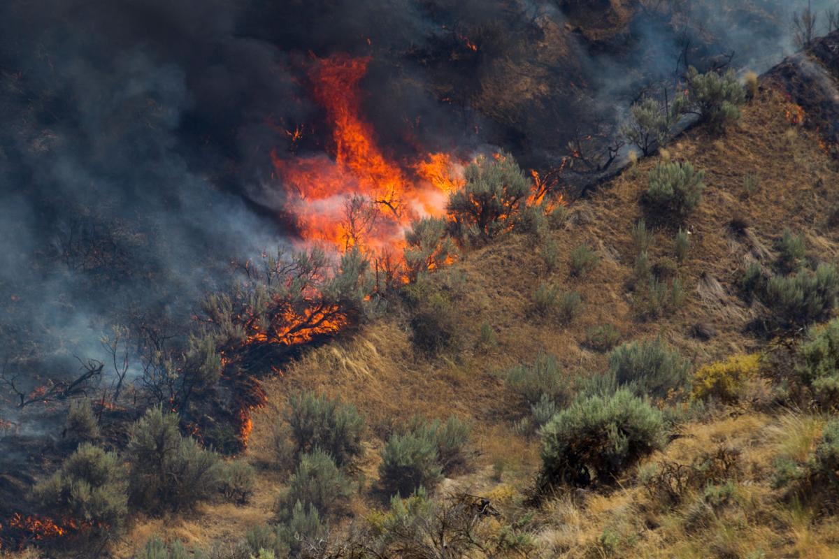 Fire burns within several feet of Terrace Heights homes; Rattlesnake