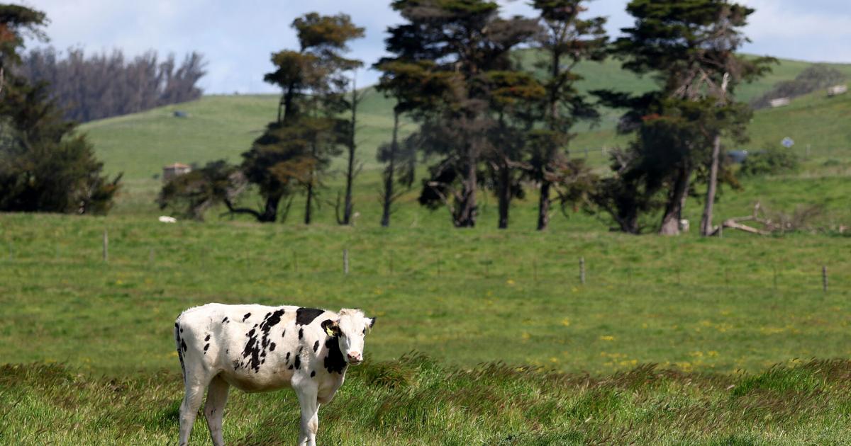 Column: Bird flu is about to crash flu season. It could get ugly ...
