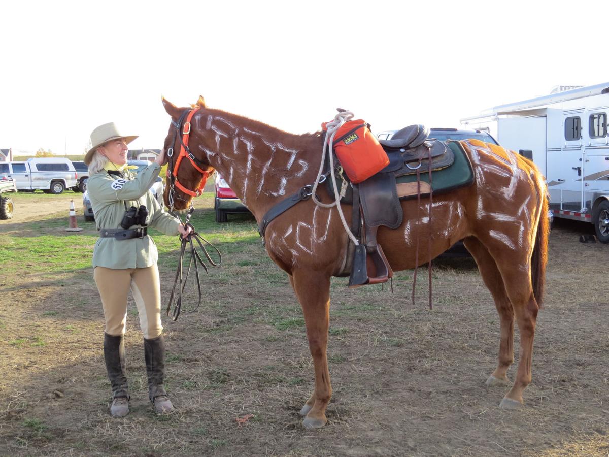 Annual Winery Ride in Zillah a hit with humans and horses Local