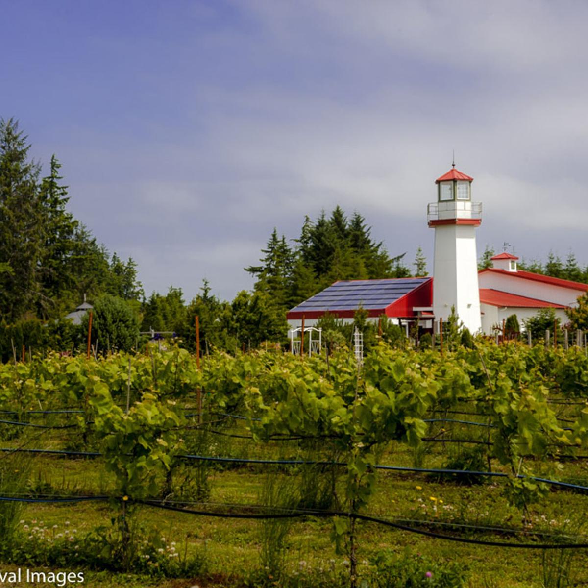 Andy Perdue reveals his 25 top Northwest wines for 2019