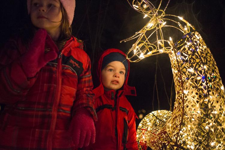 The Arboretum's Annual Luminaria Event News Photos