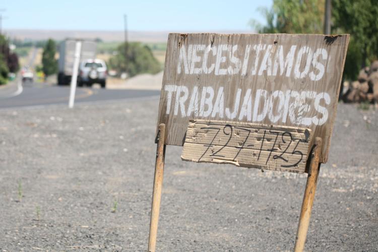 How real is the farm labor shortage? | Local | yakimaherald.com