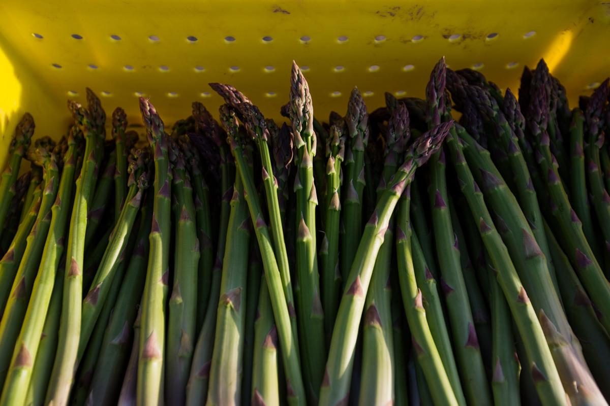 Spring is here, asparagus is around the corner Local