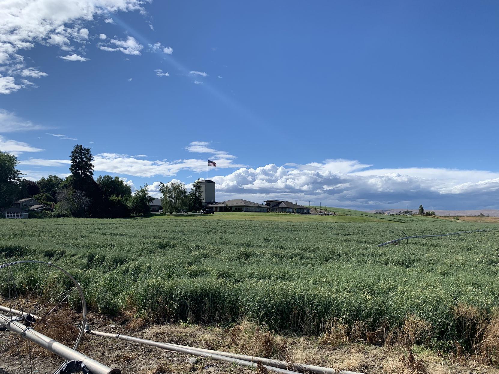 The Quiet Kings Of Mint Labbeemint Community Yakimaherald Com Types of farming in india.