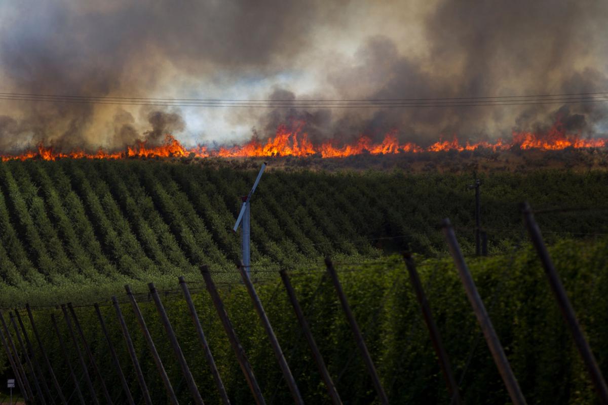 Rattlesnake Ridge fire near fully contained Local