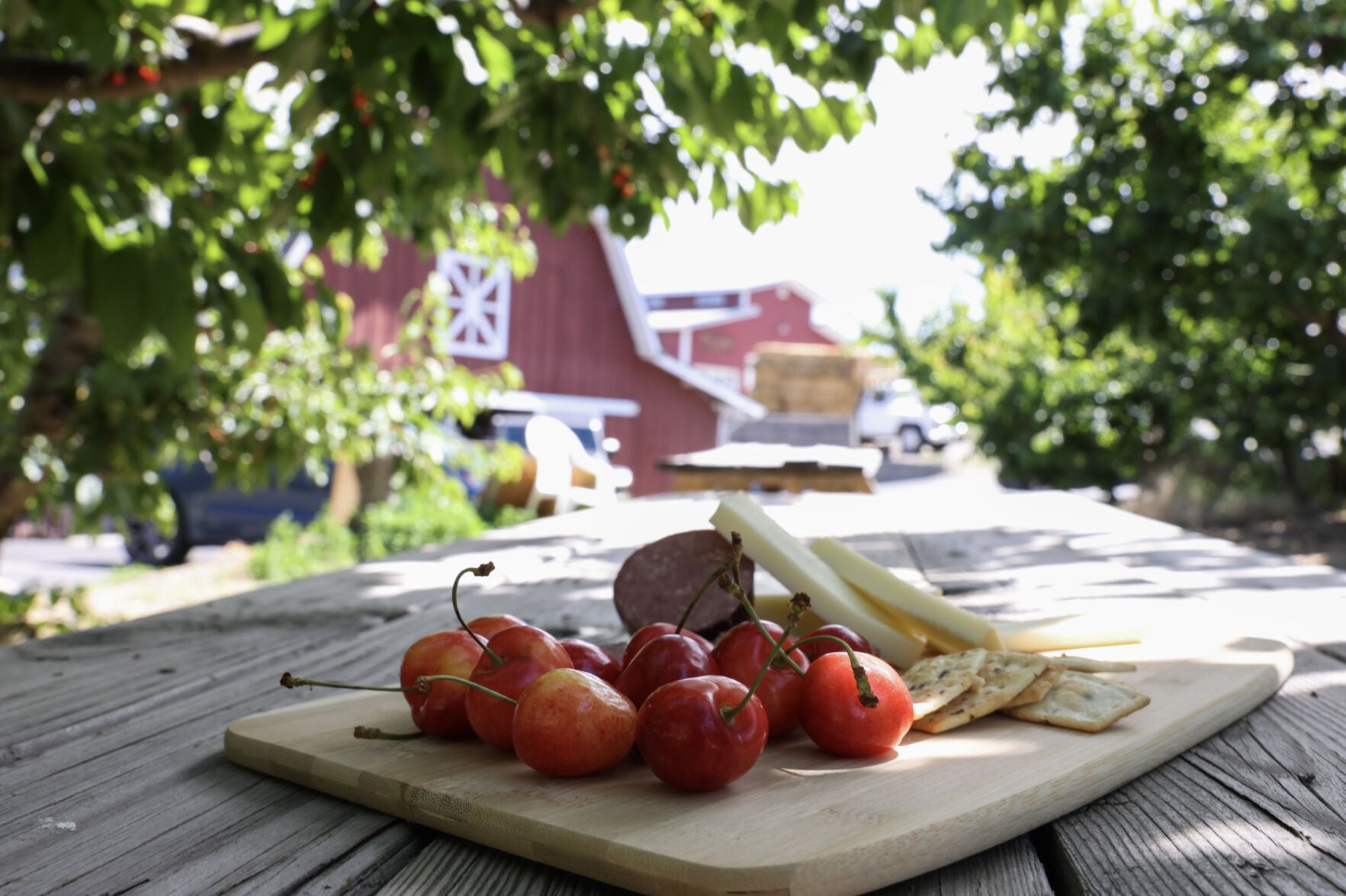 Picnic foods