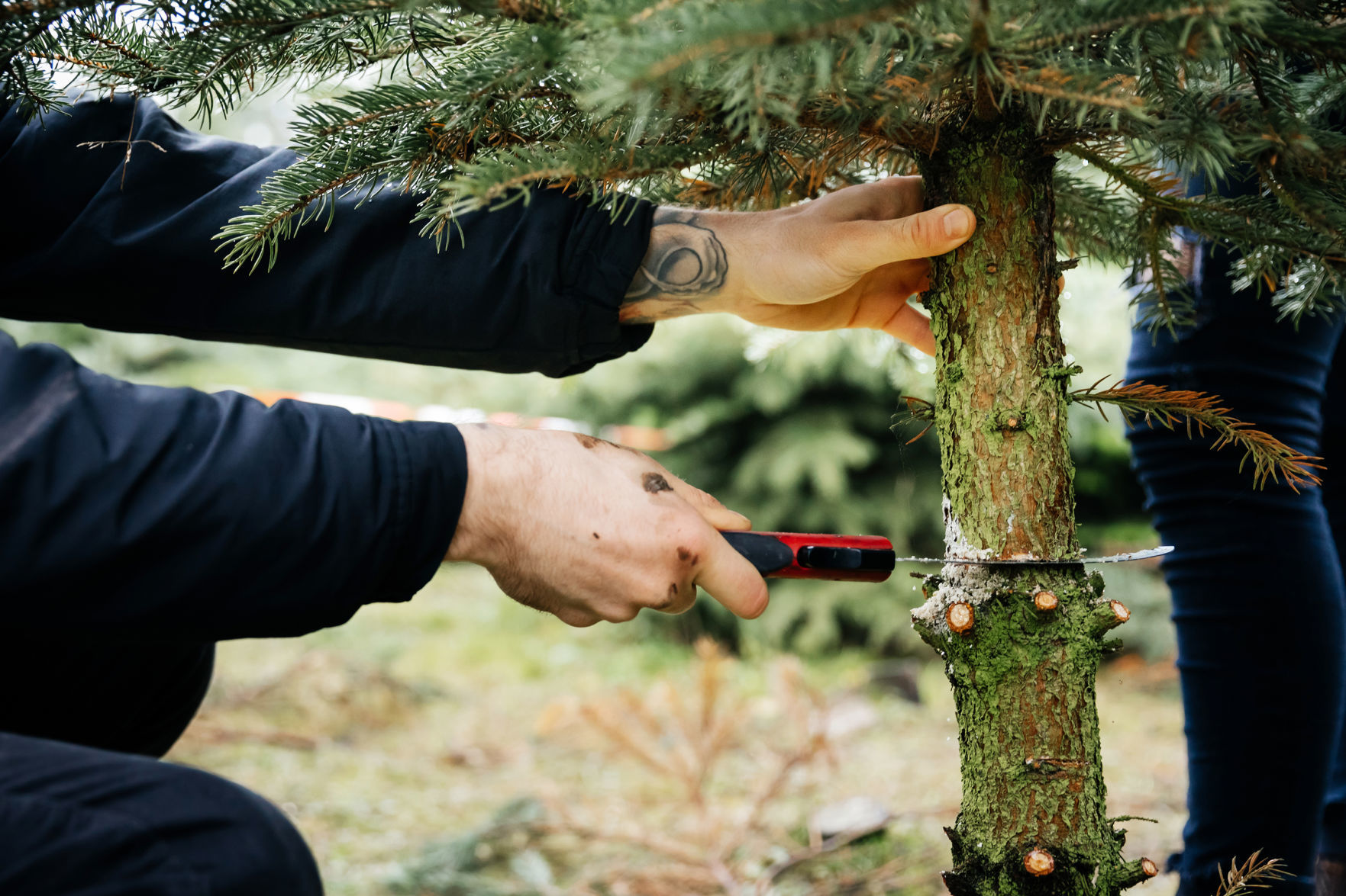 Cut Your Own Tree to Kick Off the 