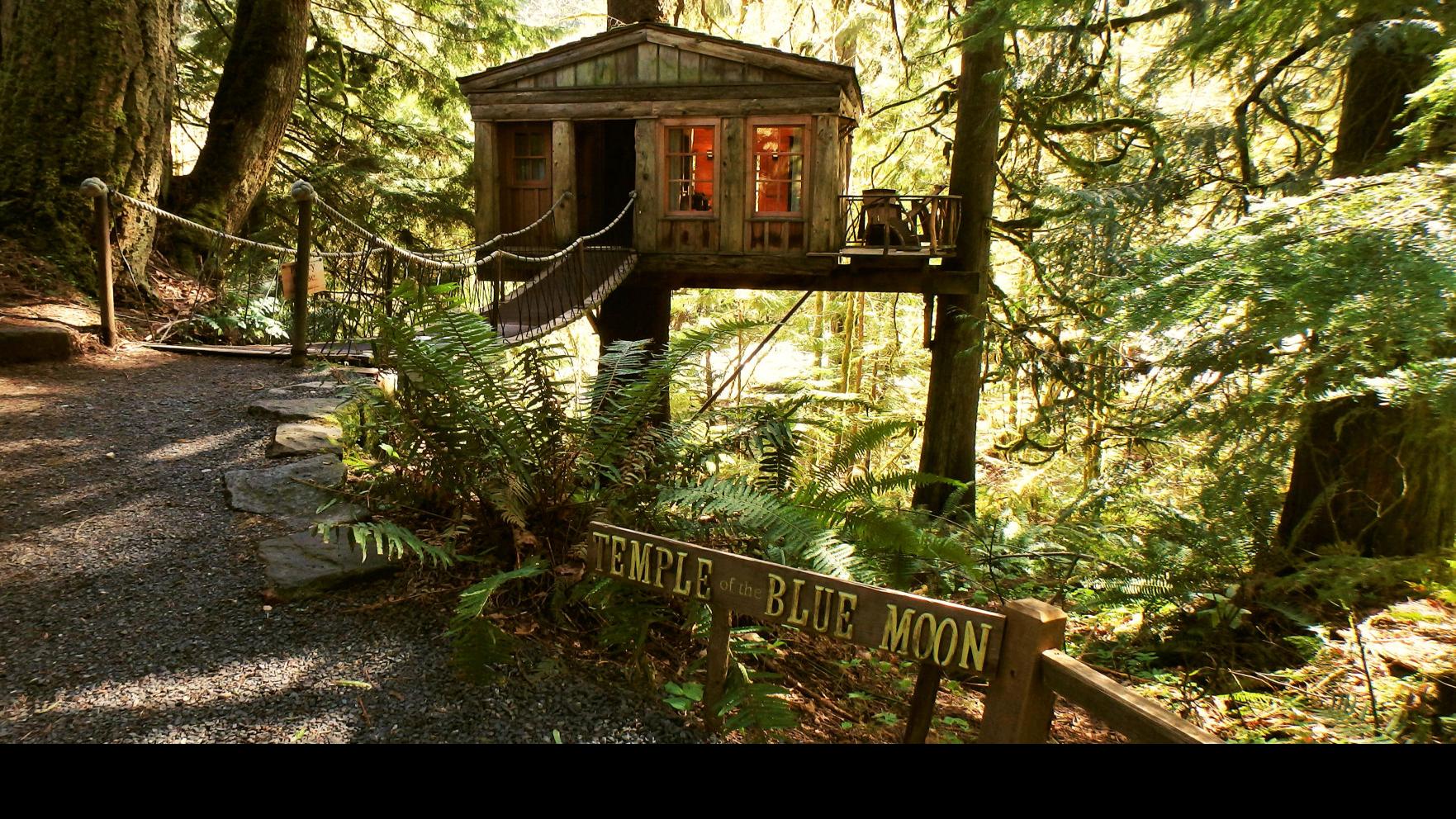 Treehouse Point Your Own Private Perch Travel Yakimaherald Com