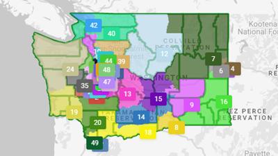 Brady Piñero Walkinshaw's updated redistricting map