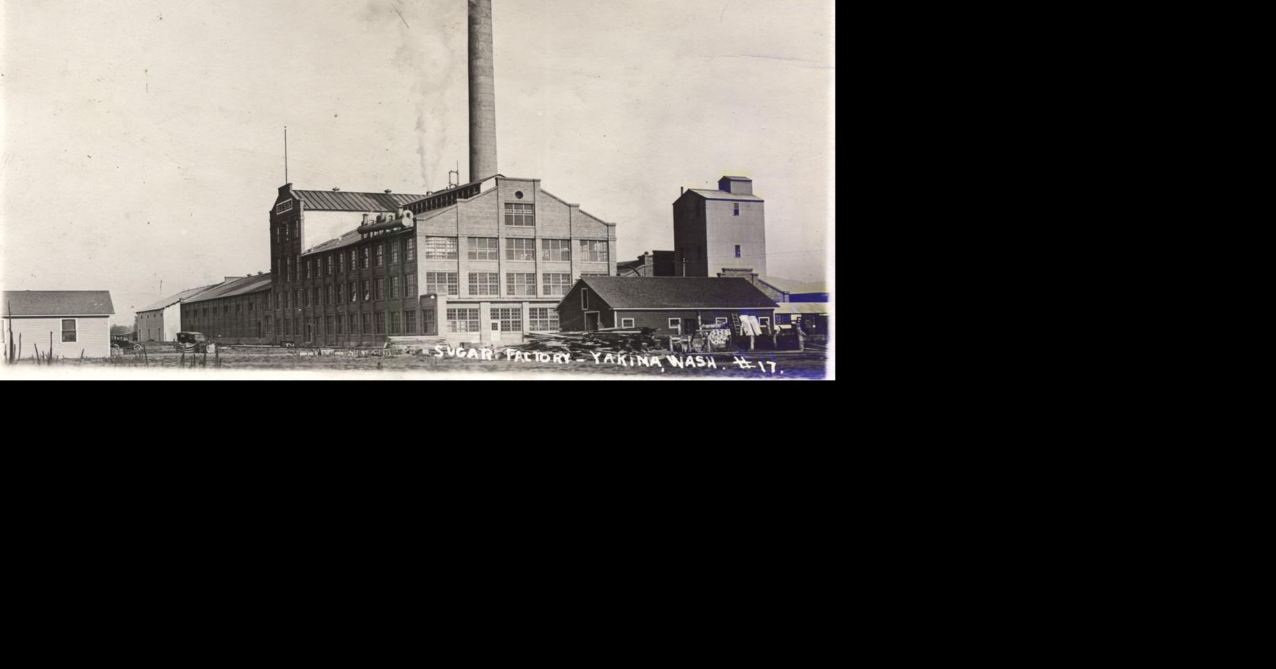 It Happened Here: A century ago, sugar beets were a growing trend in Yakima Valley