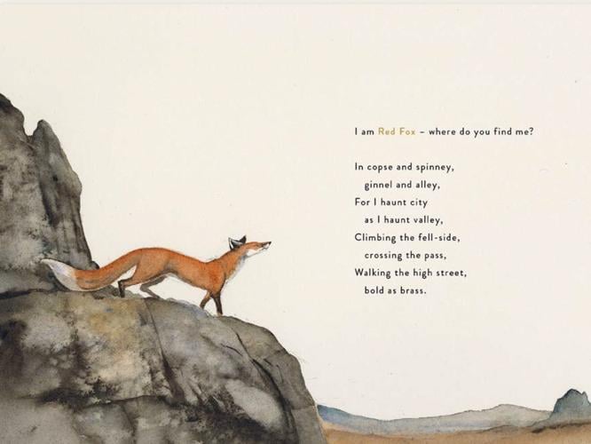 Book Scene: Illustrated poems wrap their magic around nature | Arts And  Entertainment 