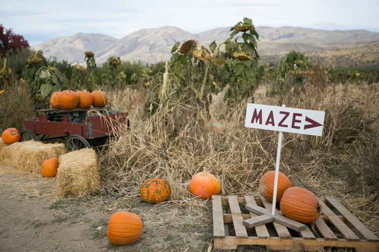8 places to take your family for fall fun in the Yakima ...