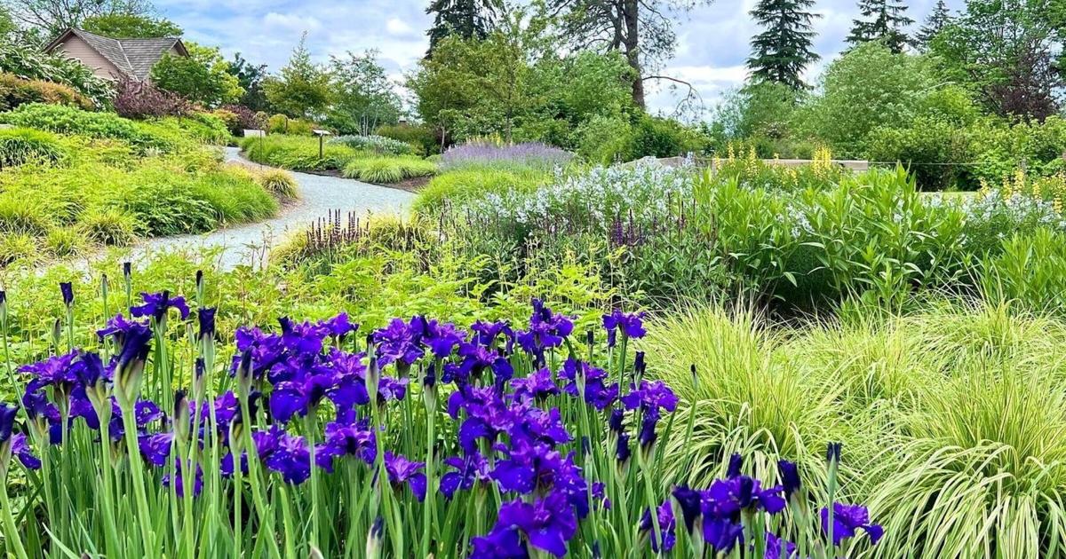 5 outings to see spring flowers around Seattle this May | Entertainment ...