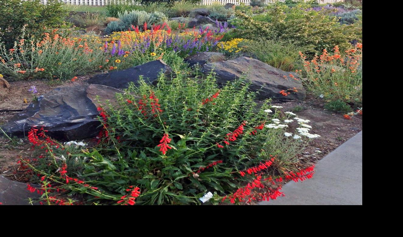 Master Gardener Heritage Gardens Home And Garden Yakimaherald Com