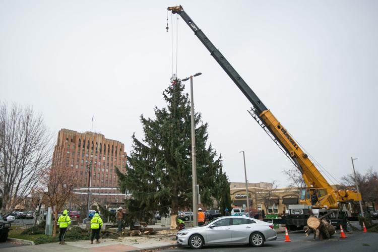 Winds topple Yakima's community Christmas tree Local