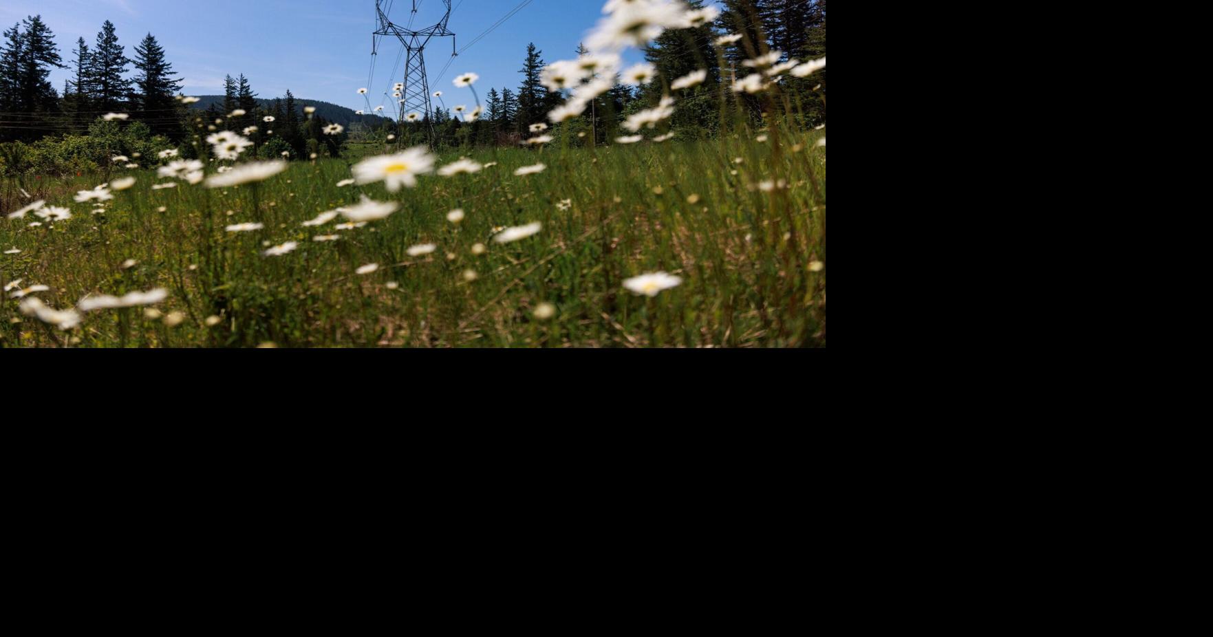 Controversial Snoqualmie battery project hits a snag