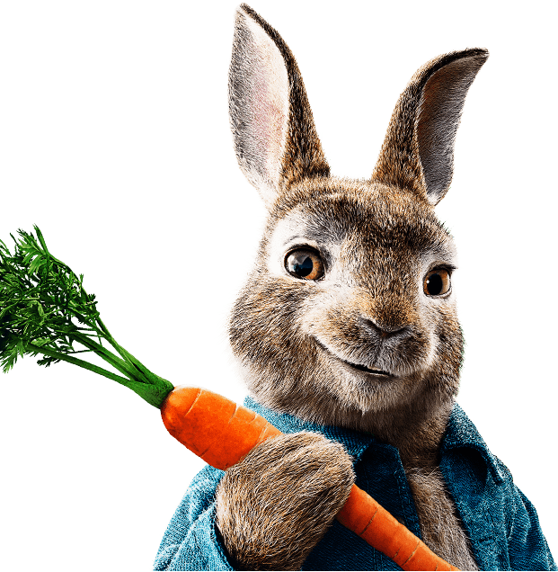 Peter Hase Download Peter Hase Download