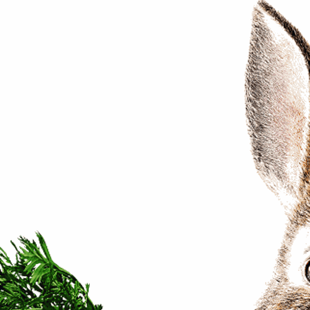 Dmitry + Hannah by David James - Together Journal - Weddings, image size:1200x1200