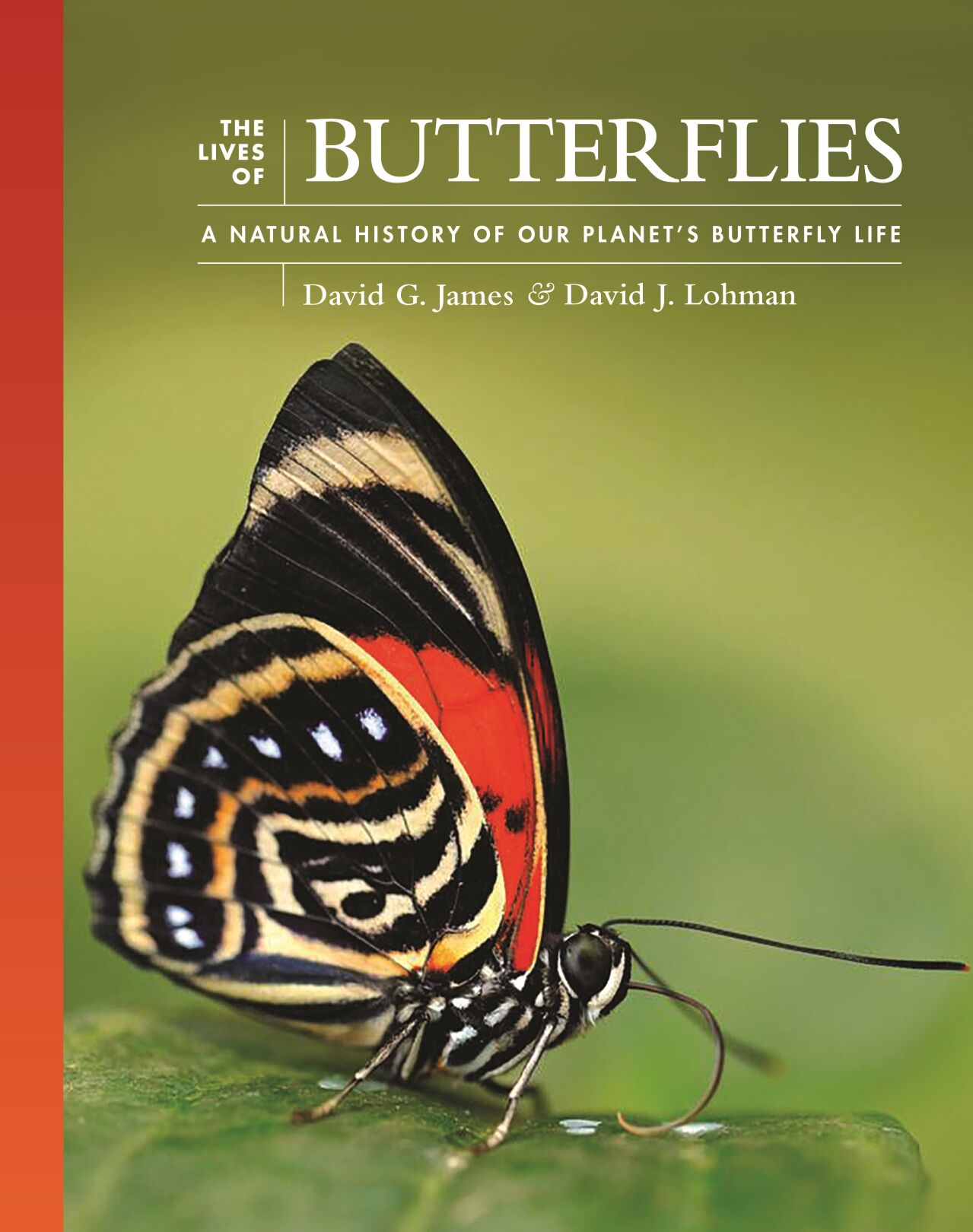 Butterfly expert David James of Yakima shares passion in new book