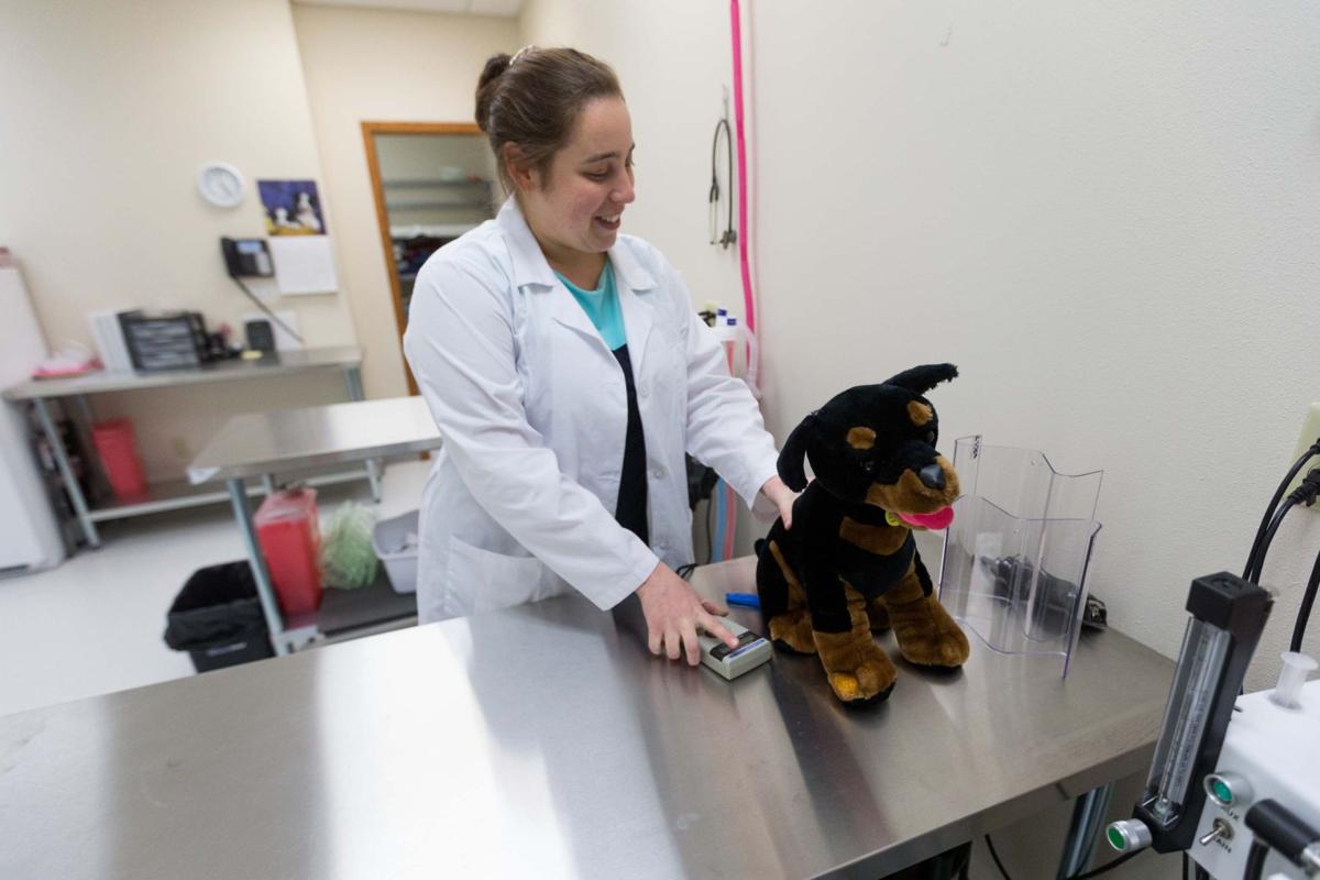 20 Best Pictures Free Spay And Neuter Clinics For Cats Near Me / Low Cost Animal Clinic - Wayang Pets 20 Best Pictures Free Spay And Neuter Clinics For Cats Near Me / Low Cost Animal Clinic - Wayang Pets