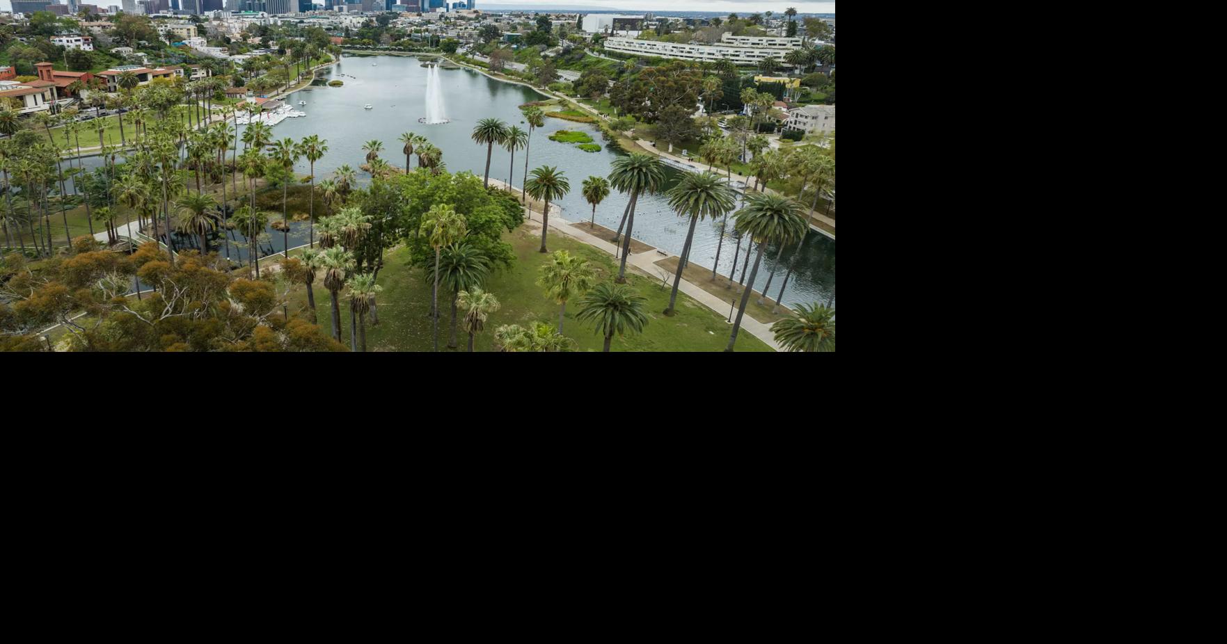 Opinion: My frustrations were global, but the solutions were local