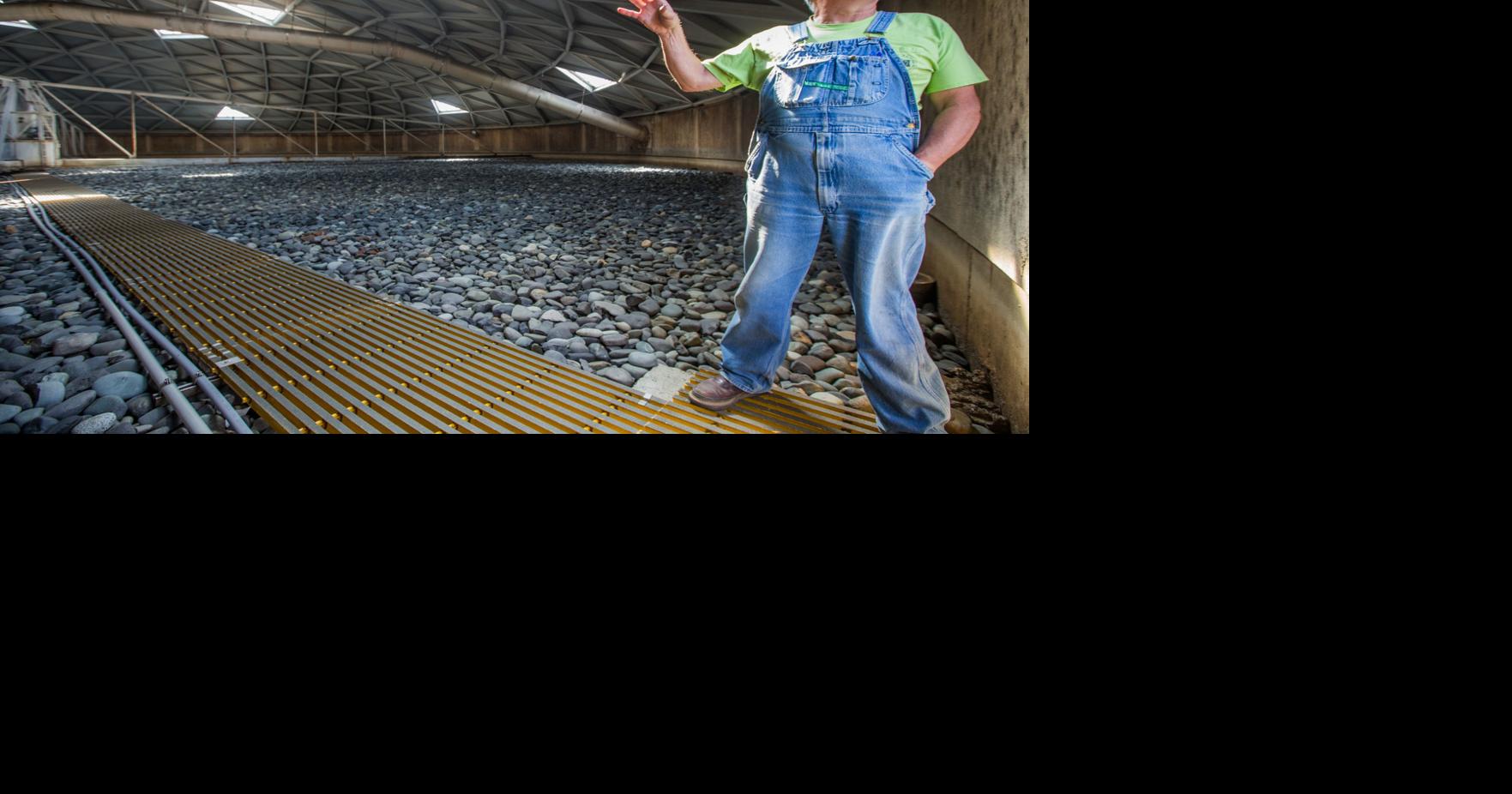 Photos: A look inside Yakima's Wastewater Treatment Plant | News Photos