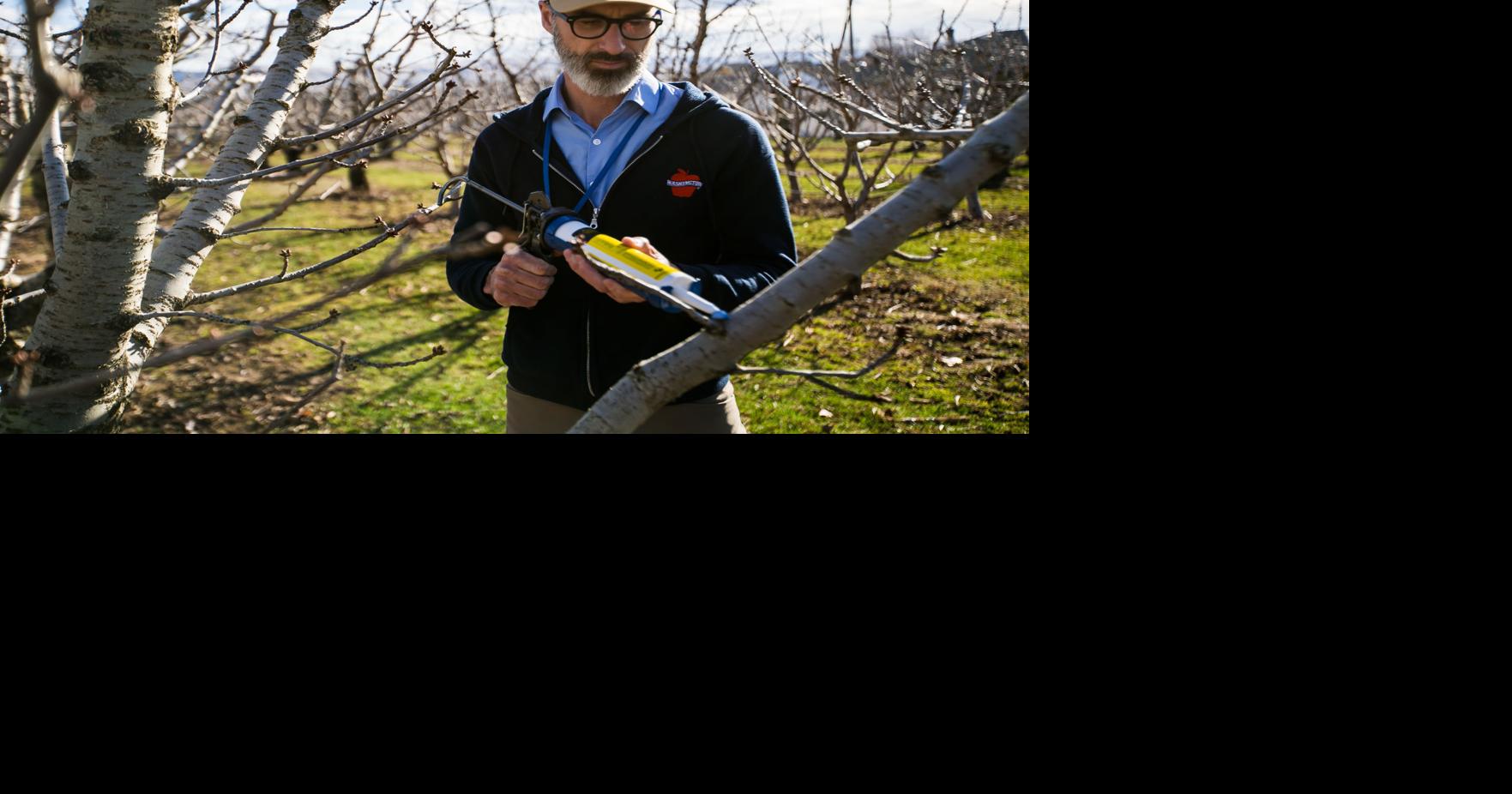 Instar Naturals takes Enterprise Challenge Business