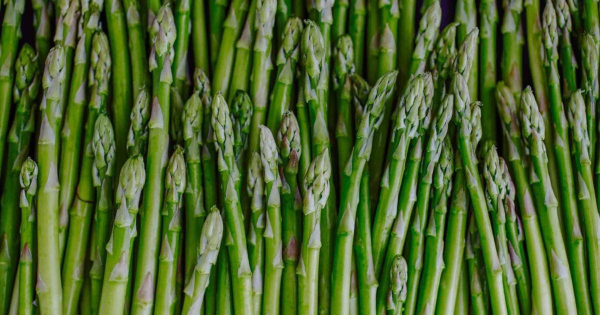 Master Gardeners of Yakima County: How to grow asparagus | Home And Garden