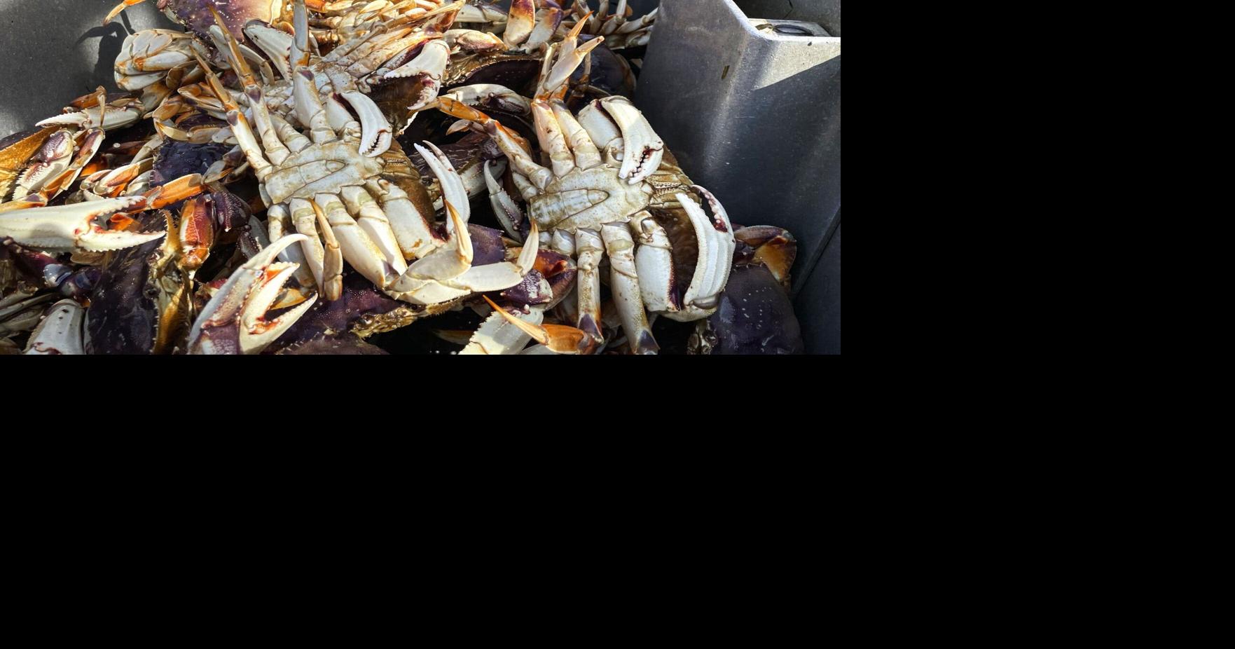 Letter Dollars for Scholars crab feed returns to Naches Opinion