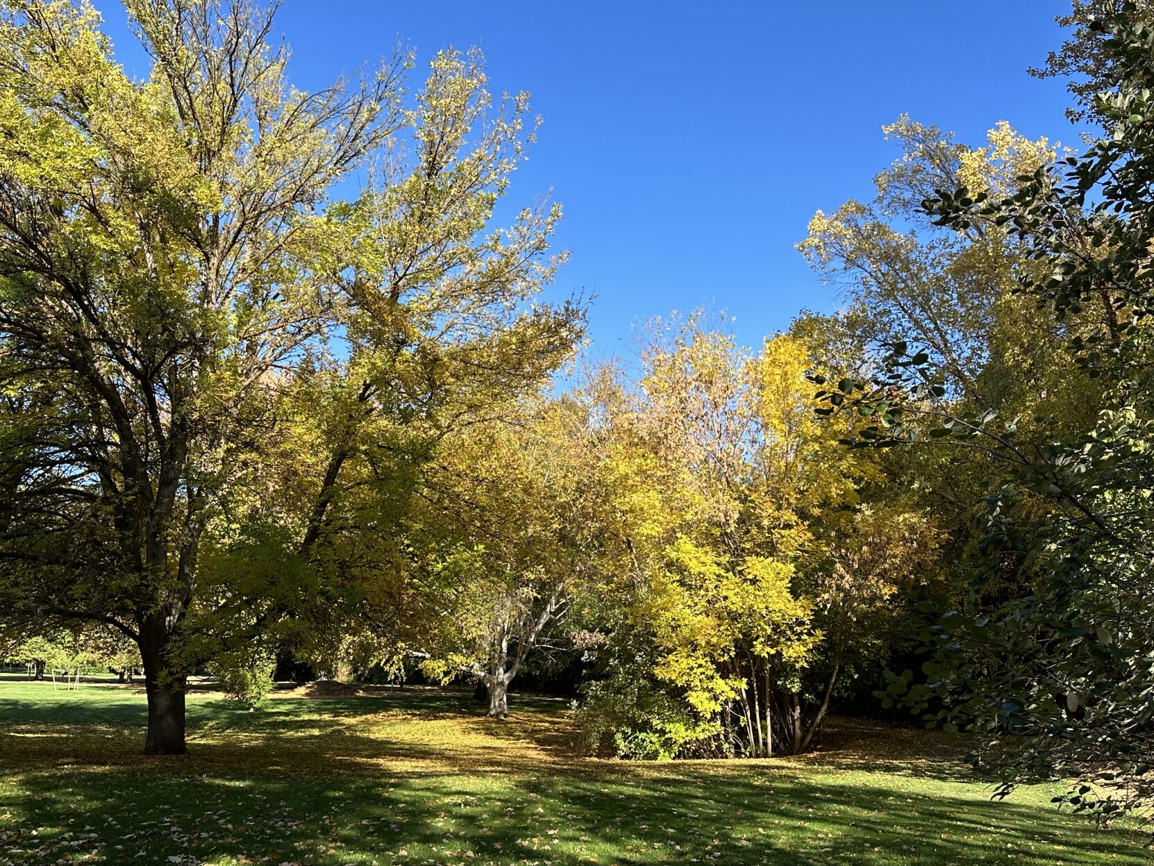 Here are some of the best places to explore Yakima s urban autumn