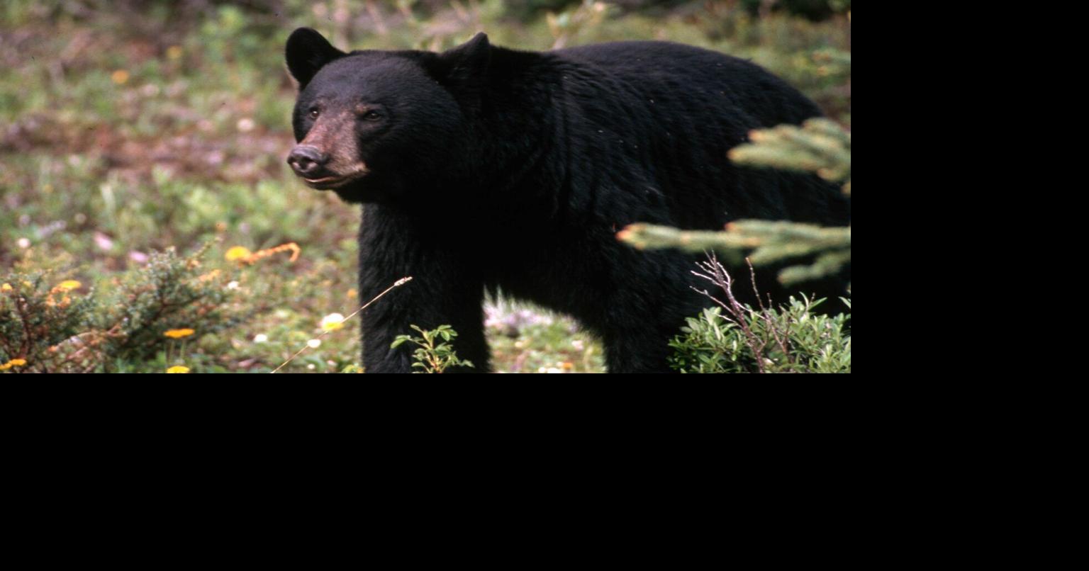 State Fish and Wildlife saga deepens with claims of collusion