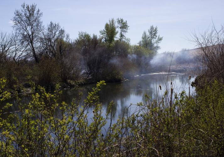 The Echoes of Resistance: Toppenish Creek and the Unsung Legends of America