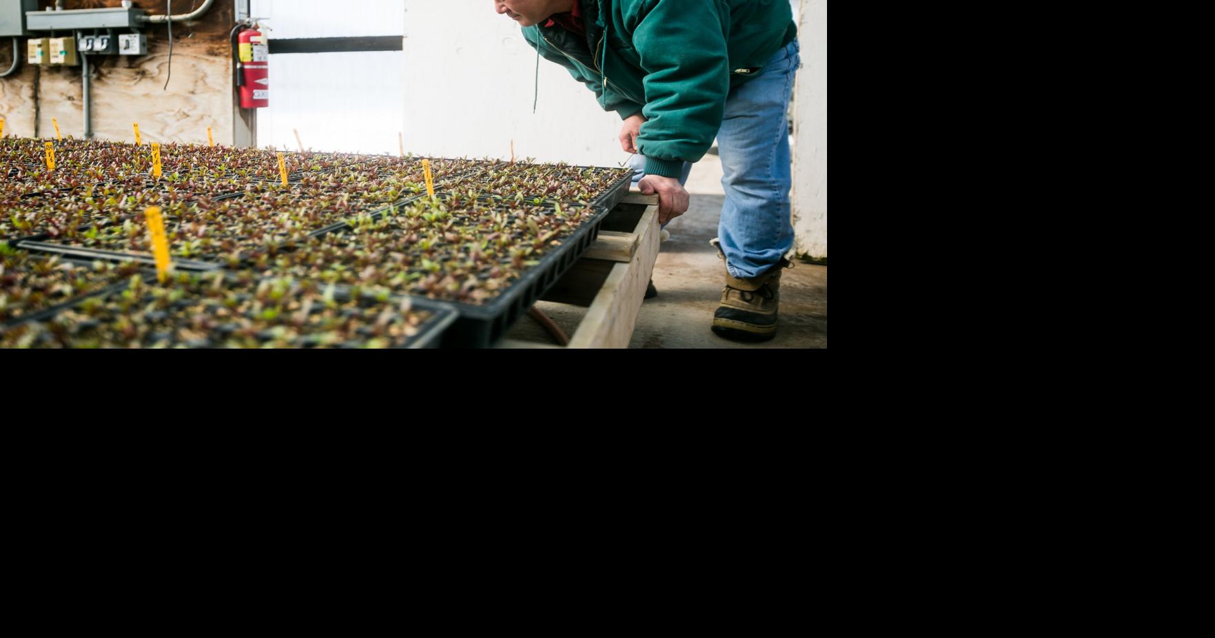 Lon Inaba, Inaba Produce Farms | | yakimaherald.com