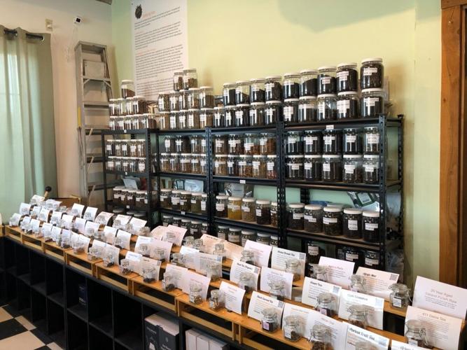 gifts for kids and dads to enjoy together Explore