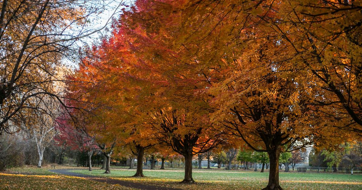 Yakima Valley among the nation’s top fall travel destinations | Business Yakima Valley among the nation’s top fall travel destinations | Business