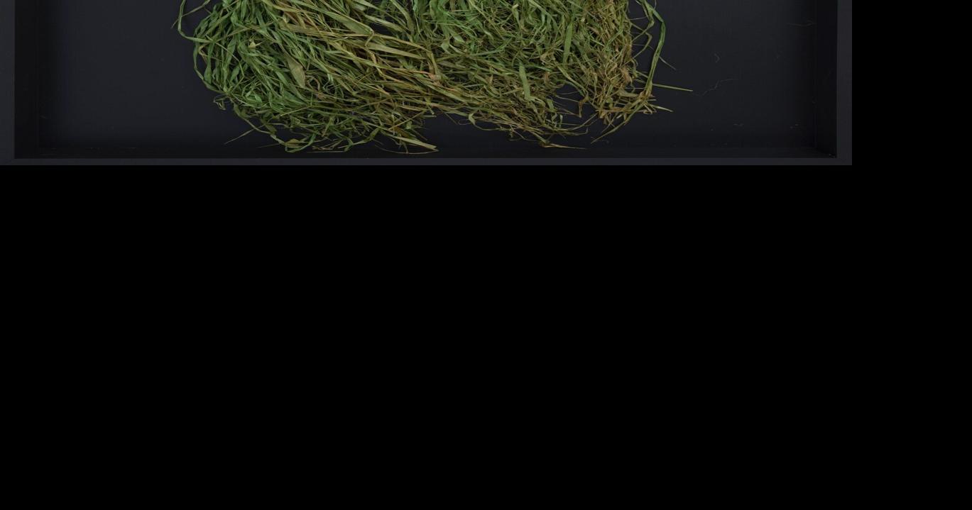 Chehalis artist explores cultural appropriation of Native costumes