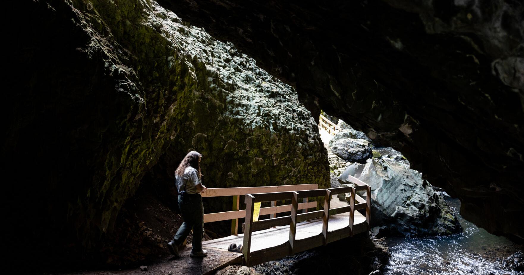Boulder Cave visitors urged to help limit spread of fungus that can harm bats - Vimarsana News
