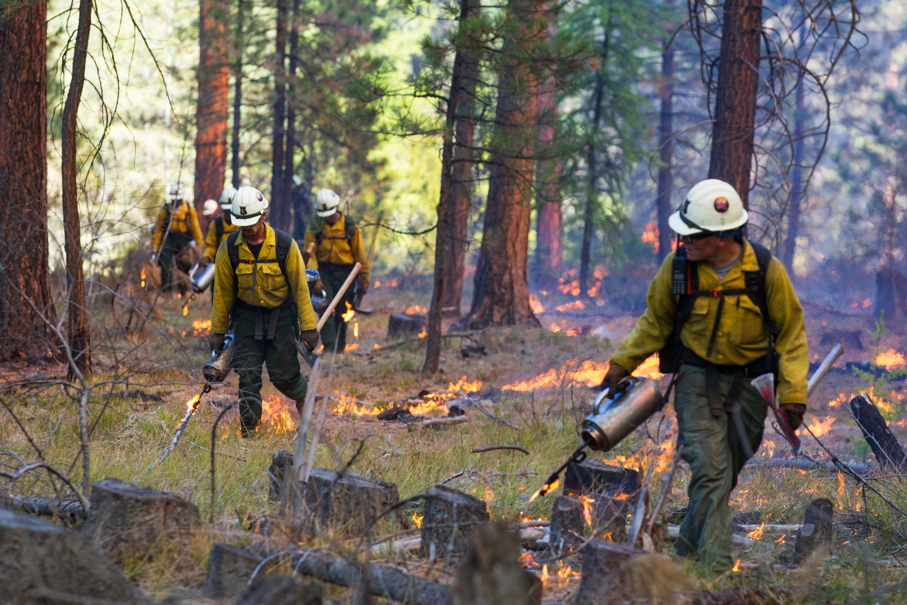 When It Comes To Protecting Washington State Forests, Fire Can Be A ...